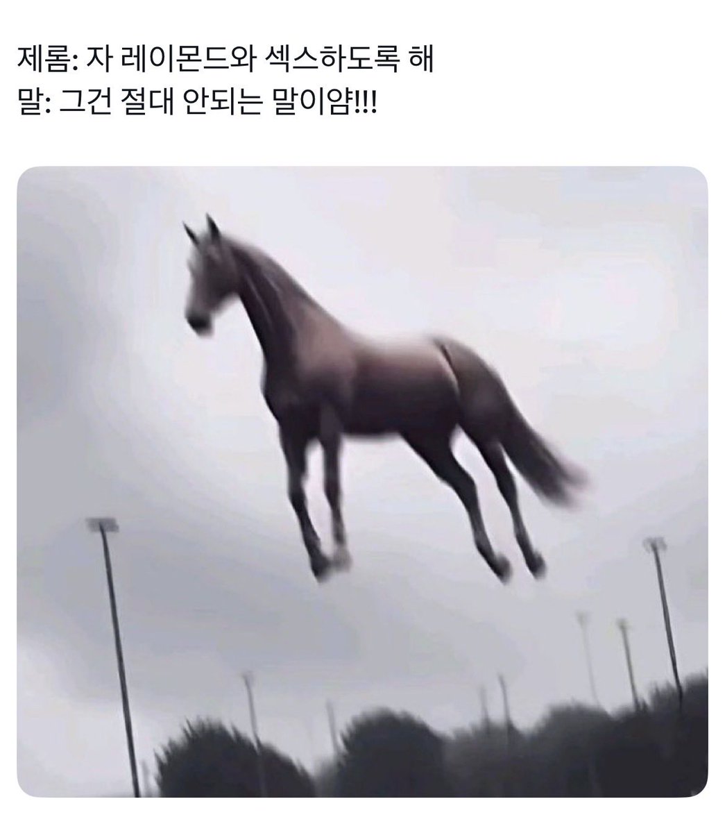 kuji (배추도사) tweet media