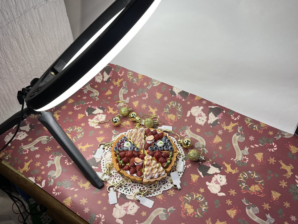 クリスマスらしい写真を撮影中！！✨