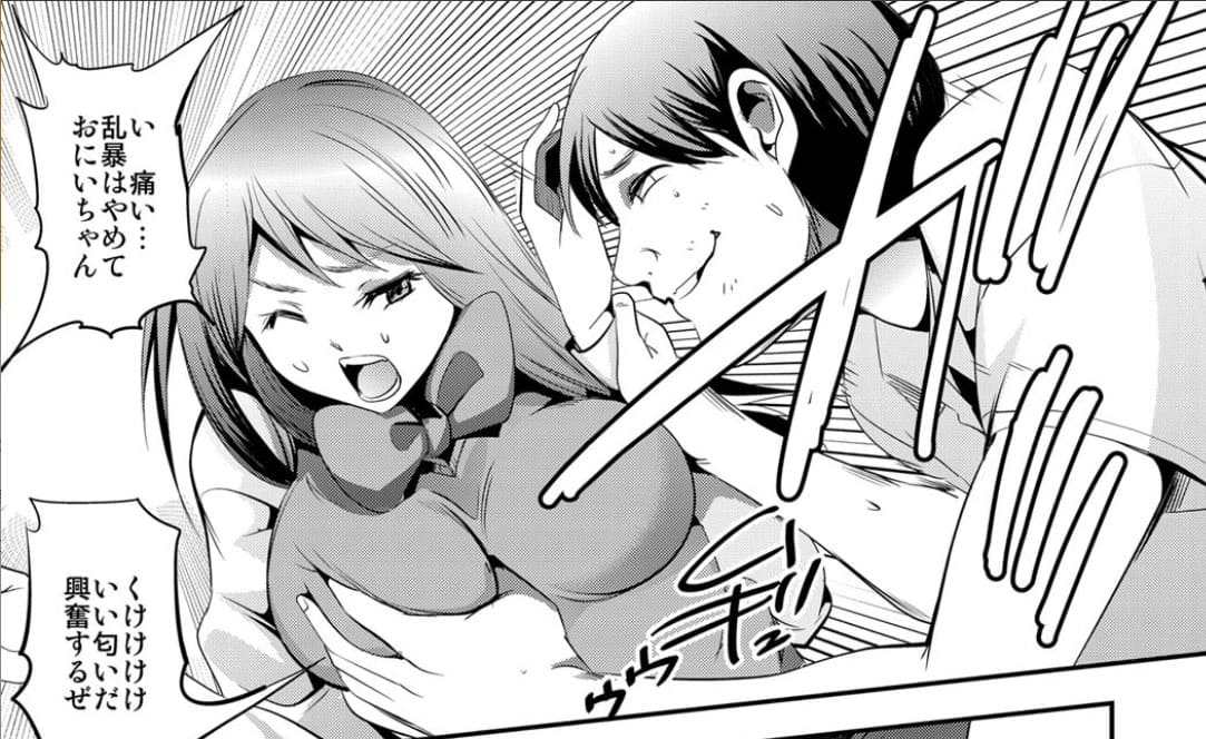 学園一の美少女は、キモヲタ兄貴に飼われていたのエロシーン1