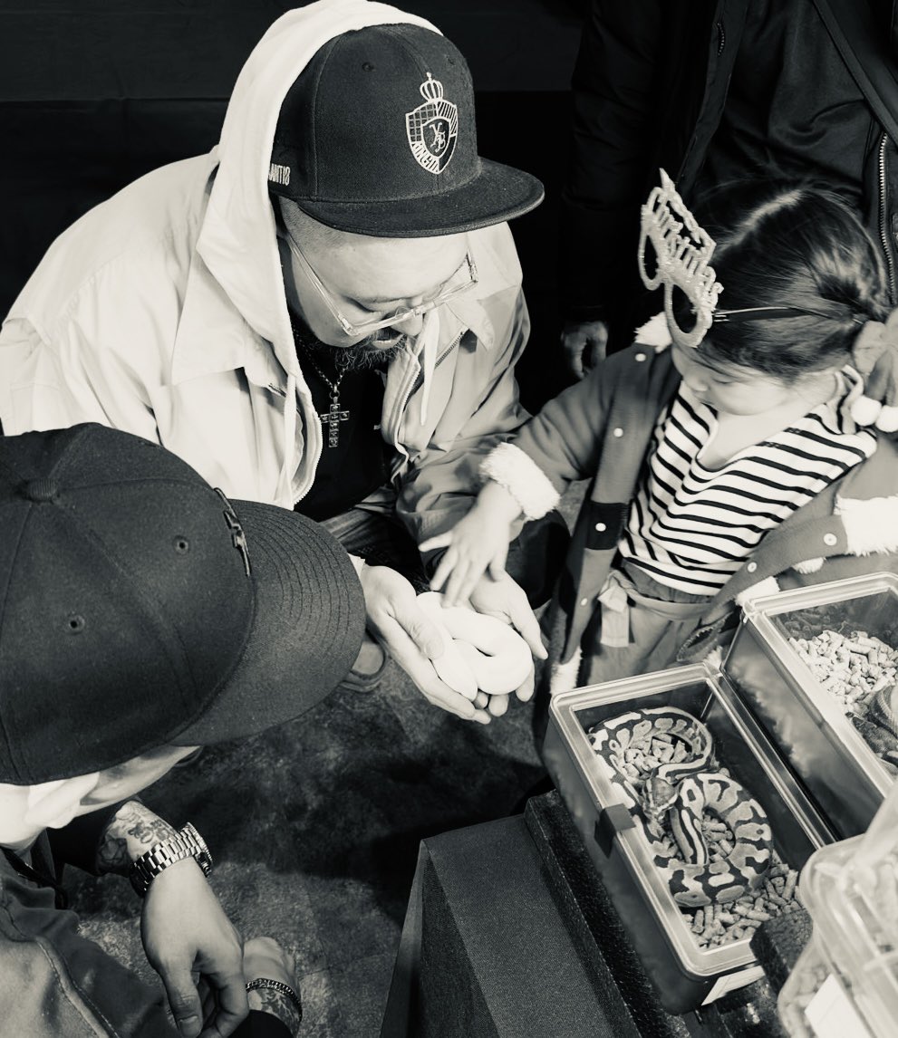 Dnasty0014Y3l's tweet image. #YellowBenjamin
#BallPython
#prcs25
#ボールパイソン