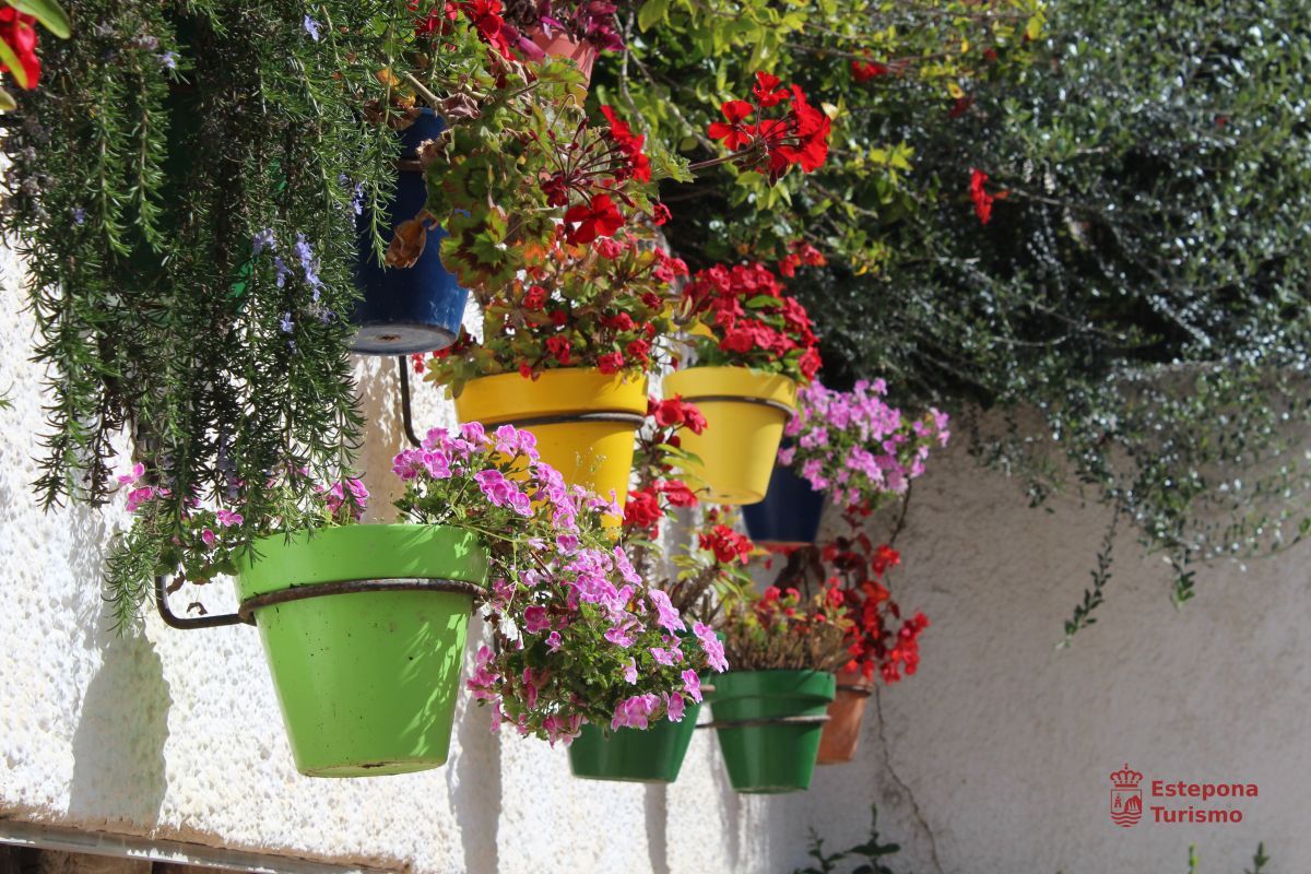 EsteponaTurAyto's tweet photo. Flores y color para un día festivo. Felicidades desde #Estepona a todas las #Inmaculadas 🌸 Flowers and colour for a bank holiday. Greetings to all named #inmaculada https://t.co/u8PyaAvjDP