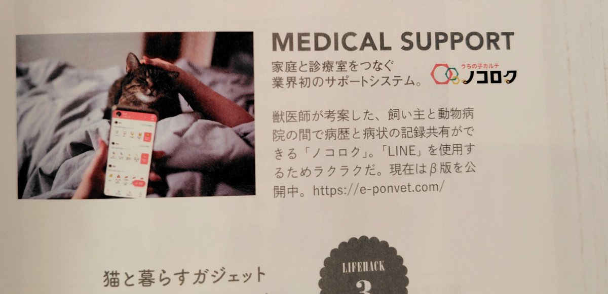 eeePON_vet's tweet photo. Snow Man佐久間さんが表紙を飾る「Hanako最新巻 1月号」にノコロクが掲載😄p122！ご利用はこちら→https://t.co/vQV6TbtAVb
健康でも闘病中でも、今を記録して、過去を振り返って、未来に寄り添うために、ノコロクが飼い主さんと愛猫さんの生涯をサポートします。
#HANAKO 
#猫がいれば幸せ
#ノコロク https://t.co/yXK92xgMYL