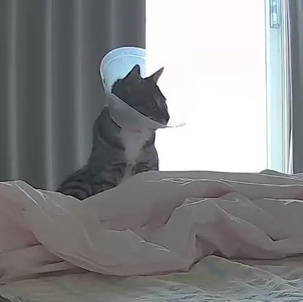 자다 깨서 조금 바보같음