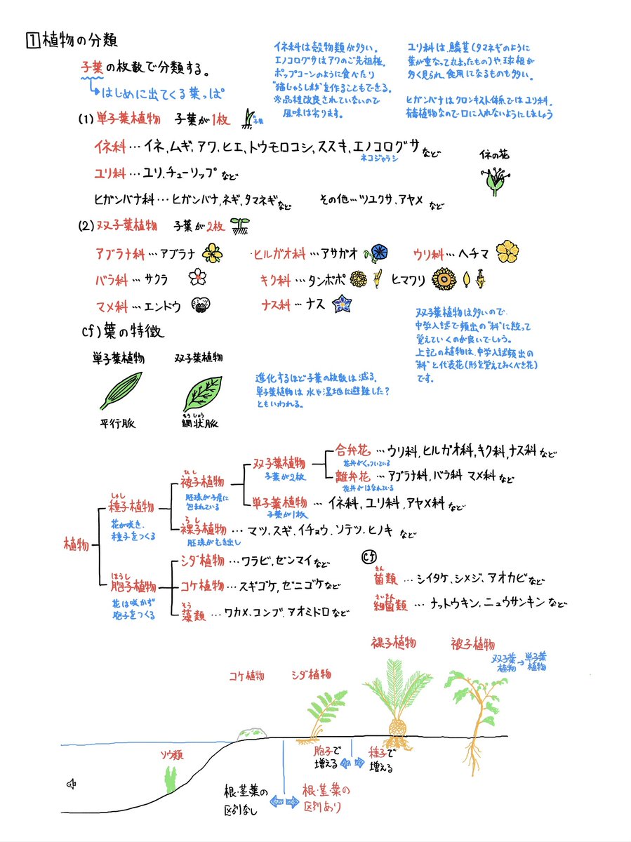 ArcOptics's tweet photo. 【中学受験　理科　1時間で総復習！】

植物
https://t.co/NhfWXqFhlr

地球・太陽・月
https://t.co/a1UejyJeAB

電気・磁石
https://t.co/qkR9iM9QGY

水溶液
https://t.co/NrVwi8NmJR

恒星・惑星
https://t.co/mgCi5gjCOv

光・音
https://t.co/hucMpsT4sX

燃焼・熱
https://t.co/E5tATGikED

動物
https://t.co/XAnogltcyG

地層・火山・地震
https://t.co/enIGIr5RbS

運動・てこ
https://t.co/7uJtZt6pzd

気体・金属
https://t.co/NtzmemuCr5

人体
https://t.co/KkUpMFORCz

気象
https://t.co/ViopsafeP8

滑車・ばね・浮力・圧力
https://t.co/G68xiXMtyf

実験器具・環境問題
https://t.co/6mJEKFQC77

季節と植物・遷移
https://t.co/OX85KTEYjo

対応のノートはこちらから
https://t.co/swgpWDLVTx
