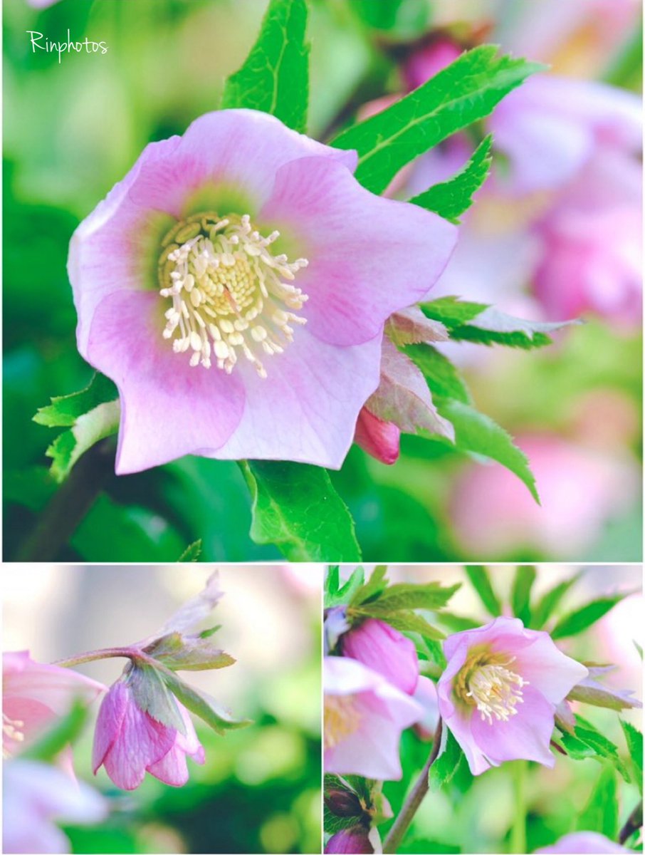 ハイジ (@haiji1010) / Posts / X