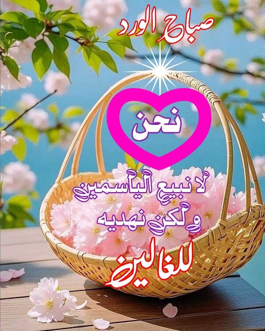 أم جنان ❤ tweet media