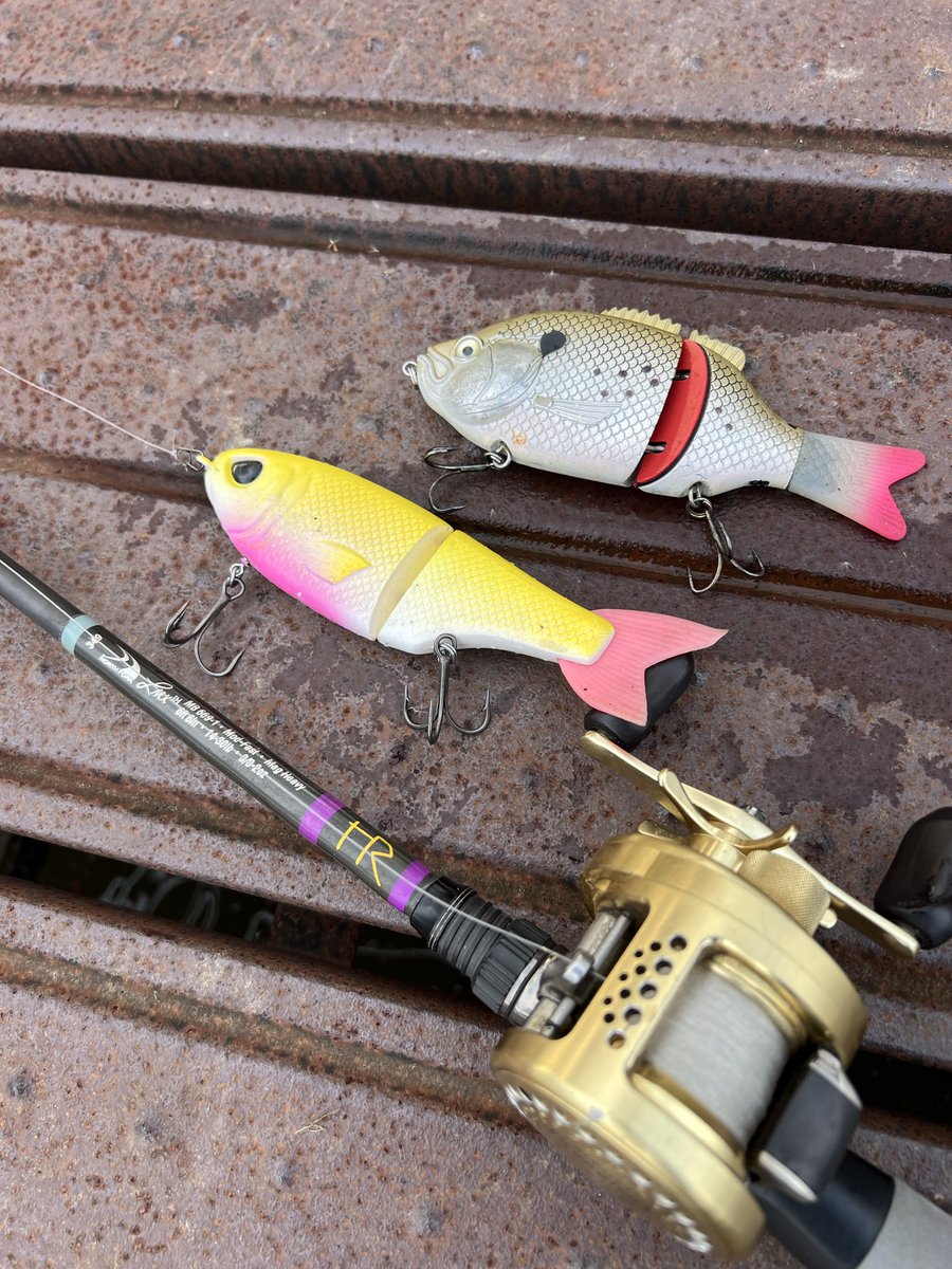 この2種類のルアーが とても楽しい！ 操作性が高いっていいですね