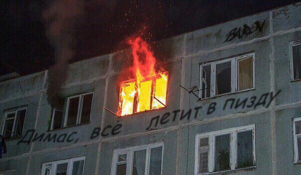 (rest) gatta patata🌾🐾 tweet media