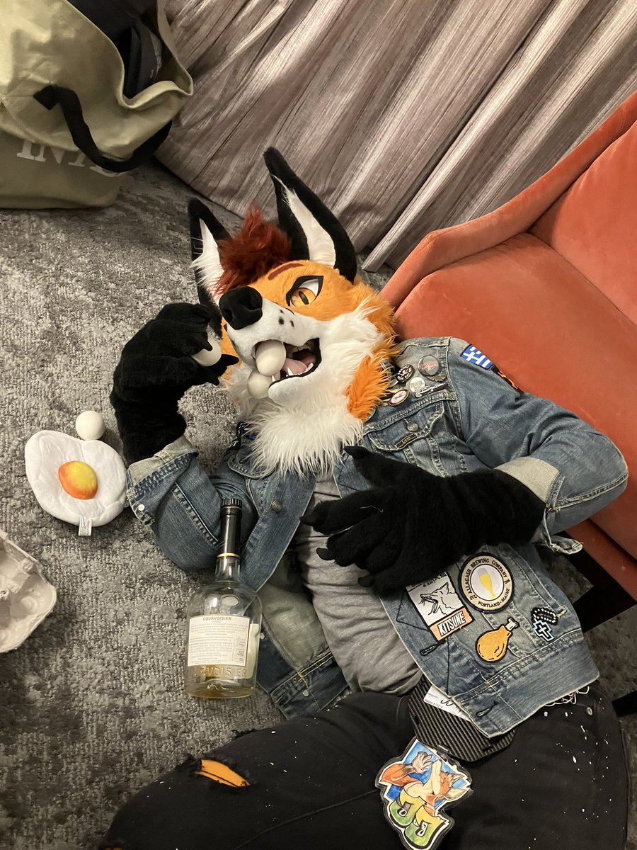 Girl let’s leave this club and go back to my hotel room, we can sip Henny and eat eggy and you can chew on my big corn-chip-shaped ears
#MFF2025 <a href="/FurFest/">Midwest FurFest</a>