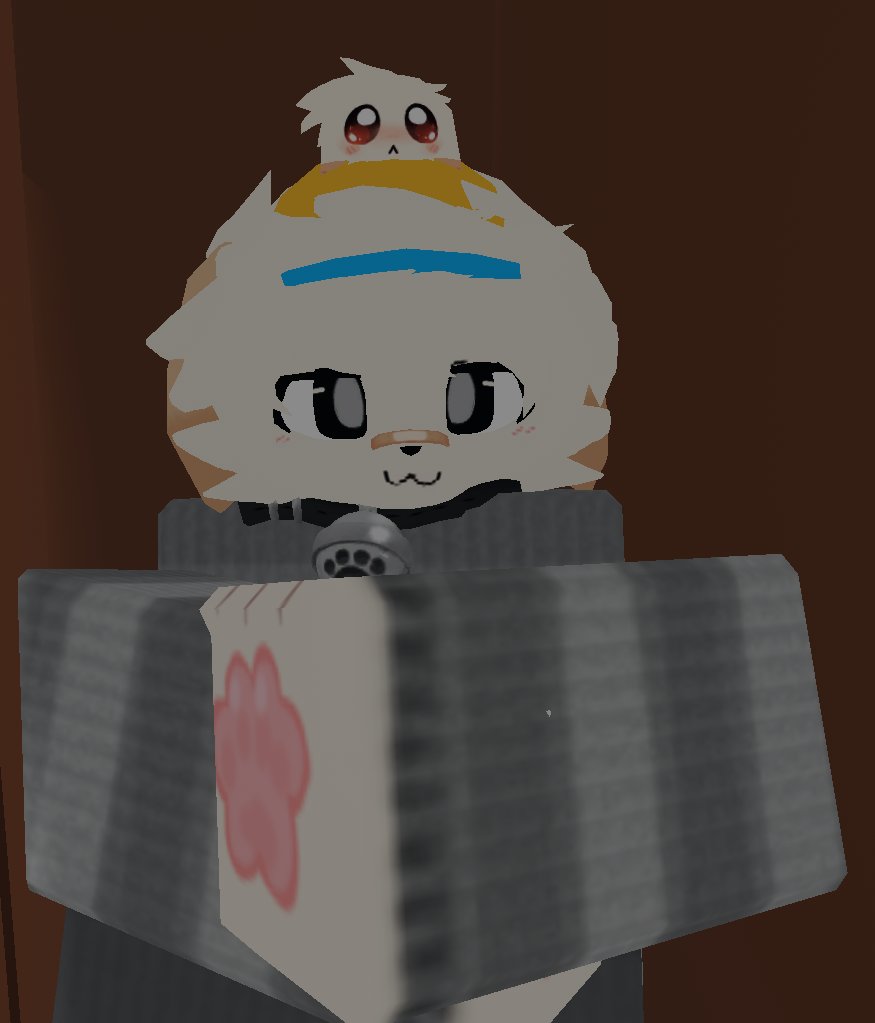 in da closet #closet #furry #roblox