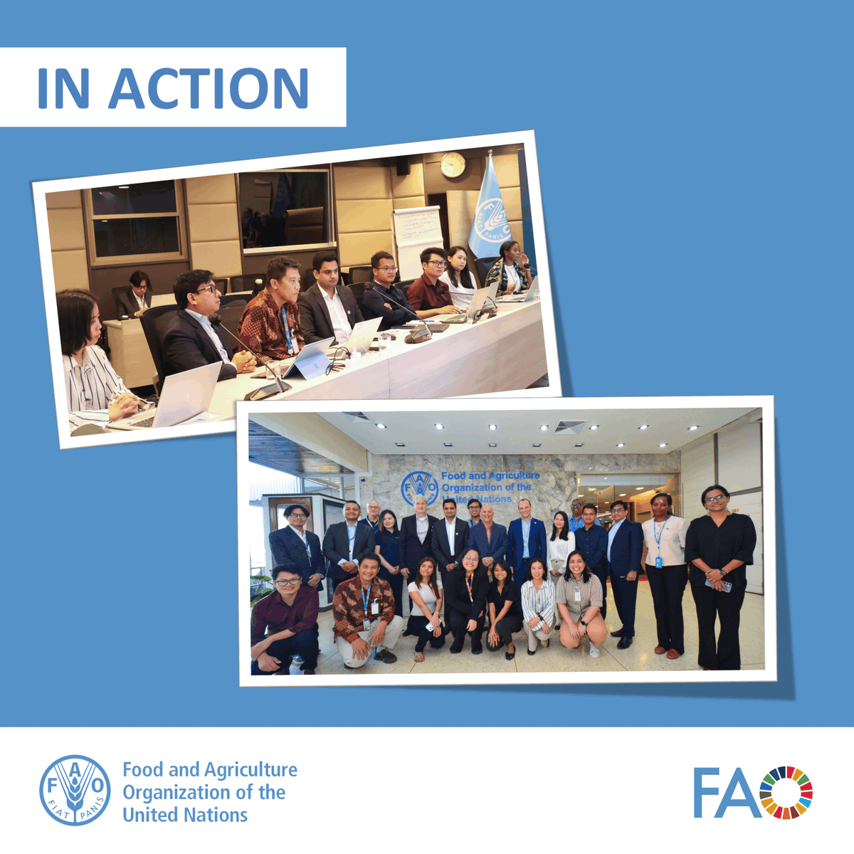 FAOAsiaPacific's tweet photo. .@FAOAsiaPacific kicks off Training of Trainers on costing &amp; budgeting tool for antimicrobial resistance national action plans (NAPs) in Bangkok. Strengthening countries’ capacity to develop clear, costed #AMR NAPs supports sustainable livestock transformation across the region. https://t.co/S9BSWWQYjD
