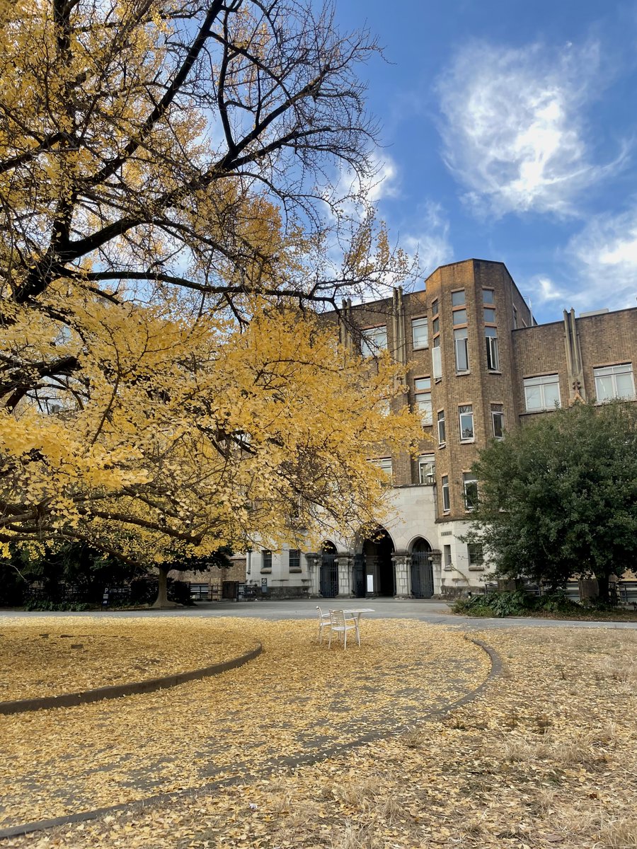 ぱんちゃん (@bonne_chance_bb) / Posts / X