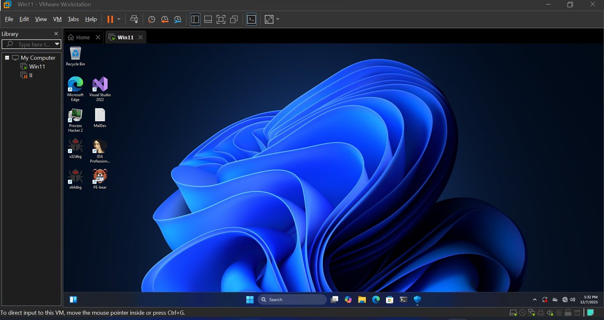 Current setup: 
[+] win 11
[+] vmware

[+] IDA pro
[+] PE-Bear 
[+] x64dbg 
[+] rustc
[+] Process Explorer 2
[+] Visual Studio

and never connect to the network.
Guess why ?