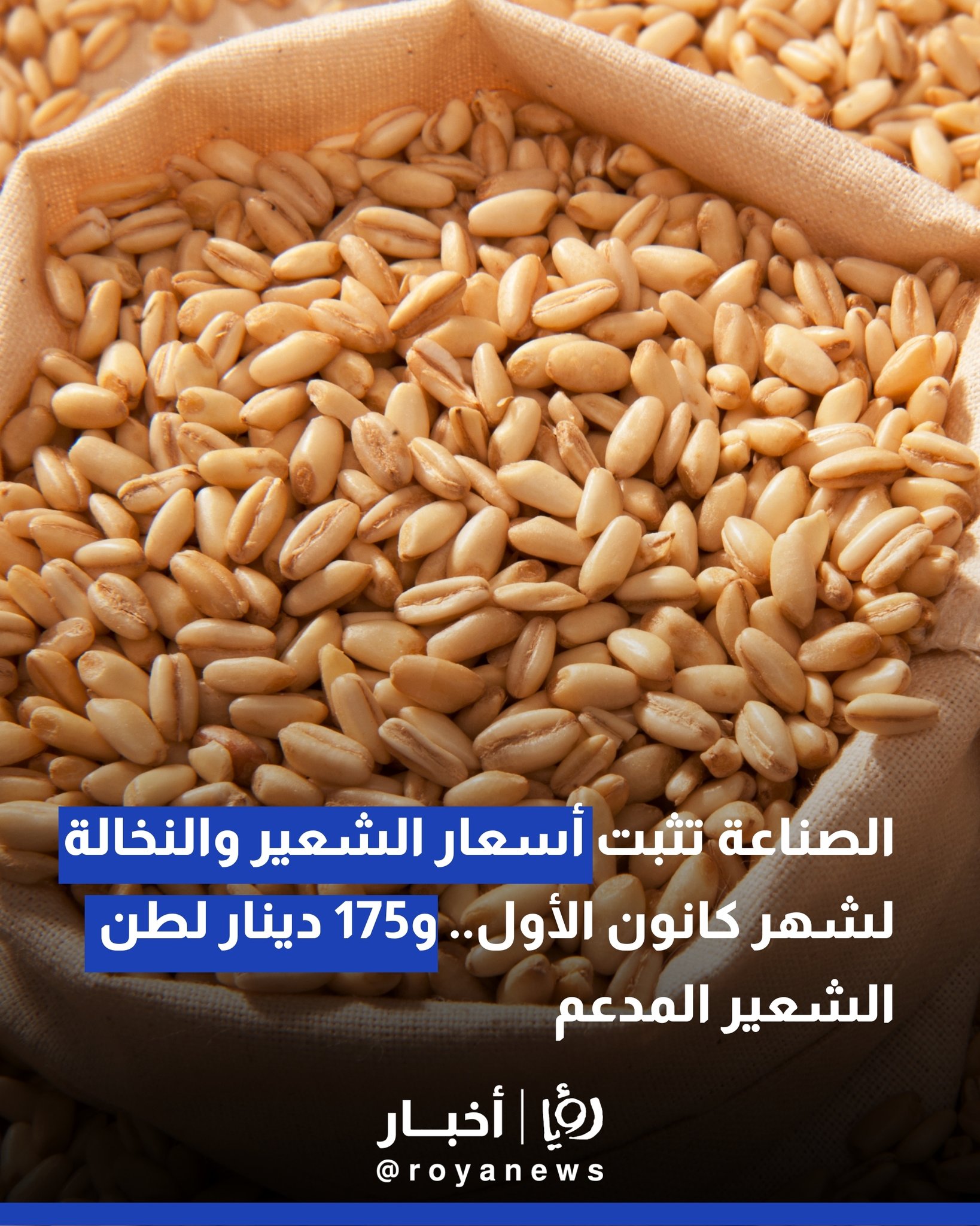 الصناعة تثبت أسعار الشعير والنخالة لشهر كانون الأول.. و175 دينارًا لطَنِّ الشعير المدعّم 