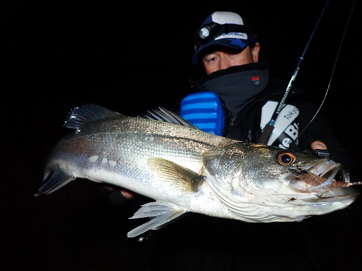 ⭐️とまとです トマトじじいです (@lRE1jNk1S6nOAcI) / Posts / X