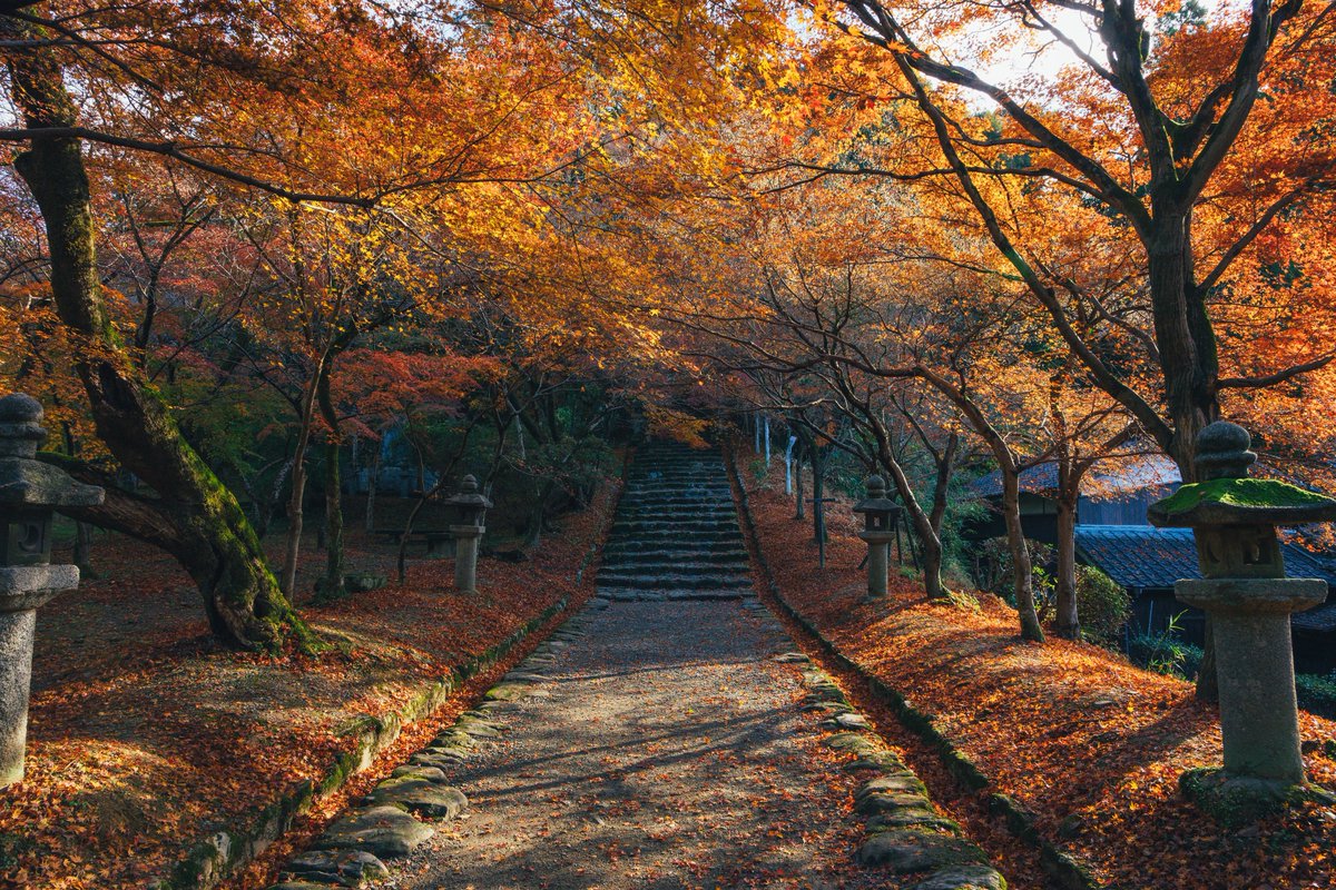 KOU (@greeeenpengin) / Posts / X