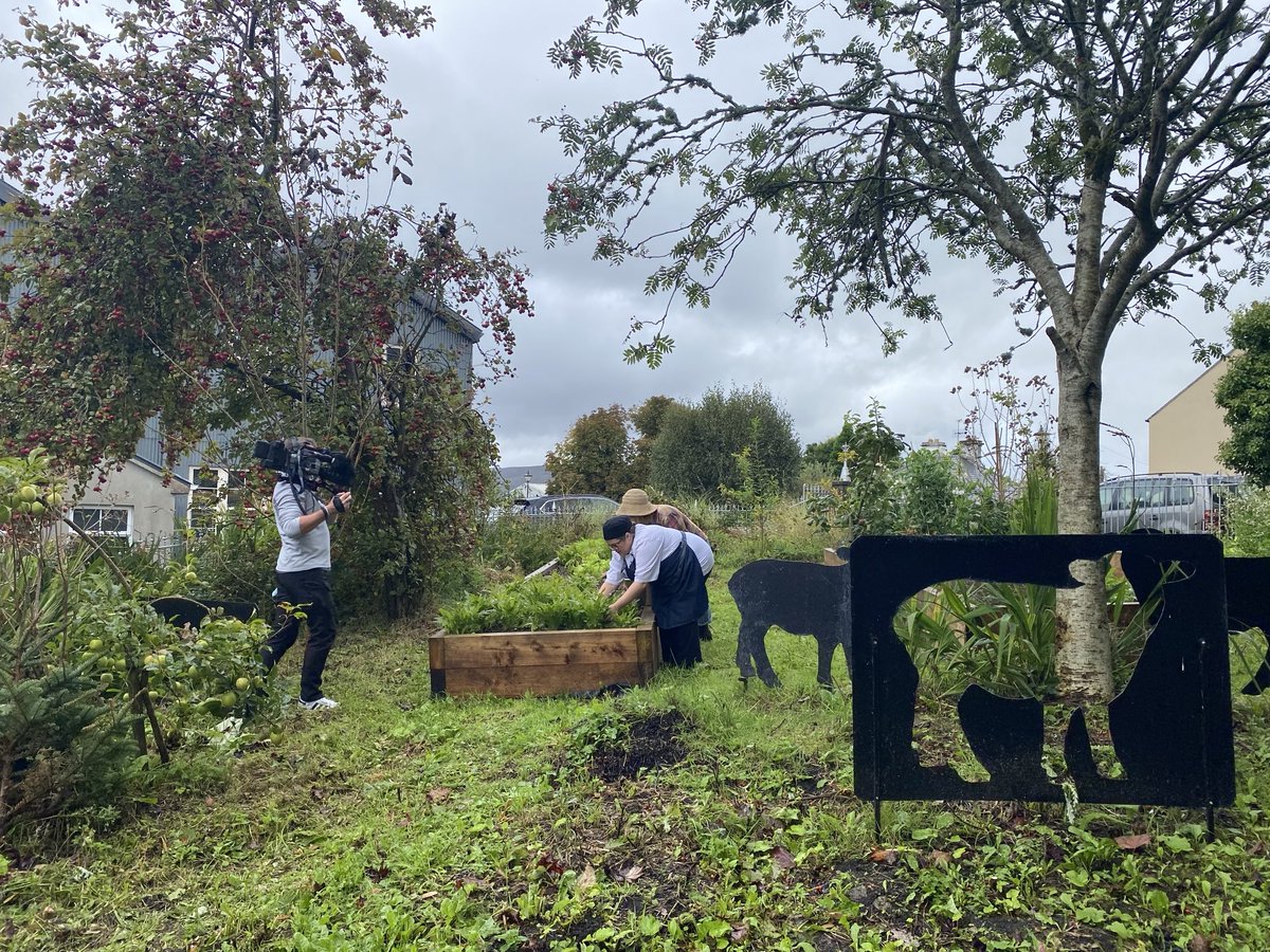 Anne Cassin tweet media