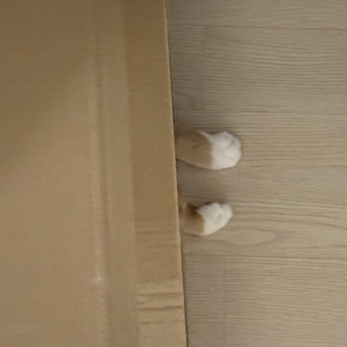 뭐야 이 찹쌀떡은