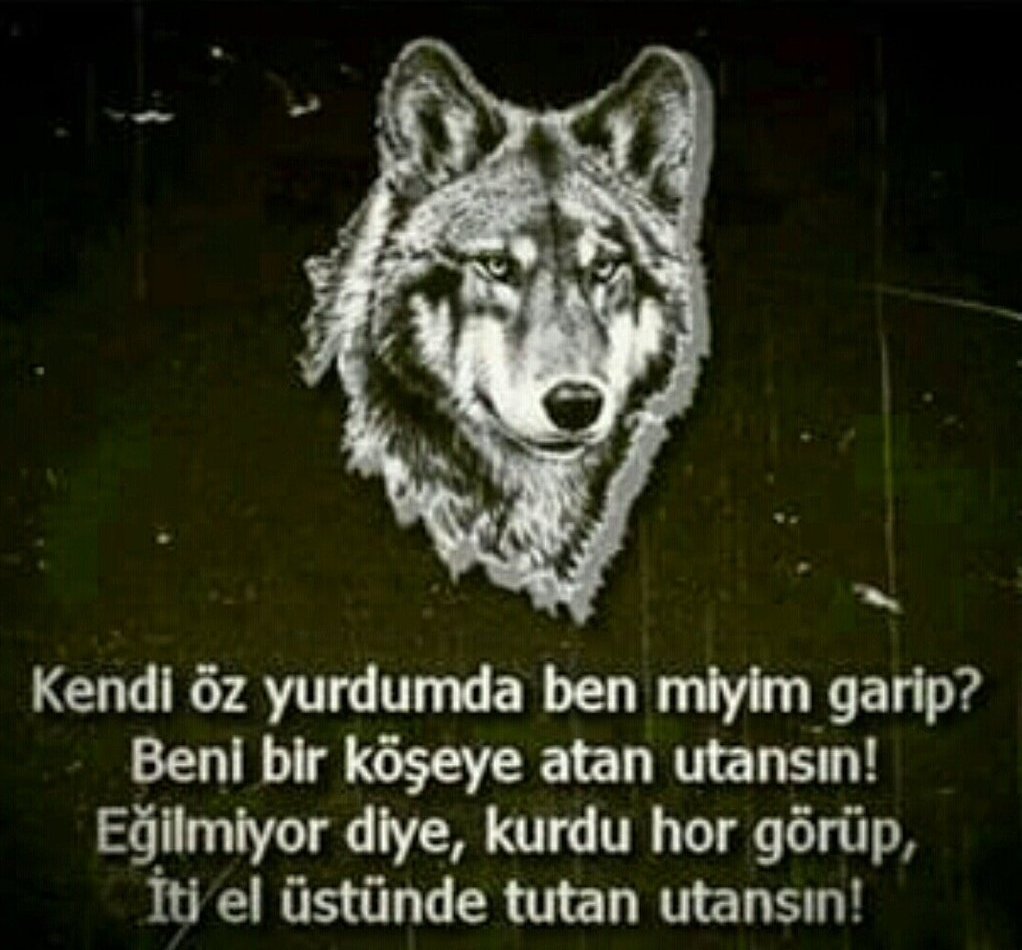 Ucarbey (@homo_erectus07) on Twitter photo 