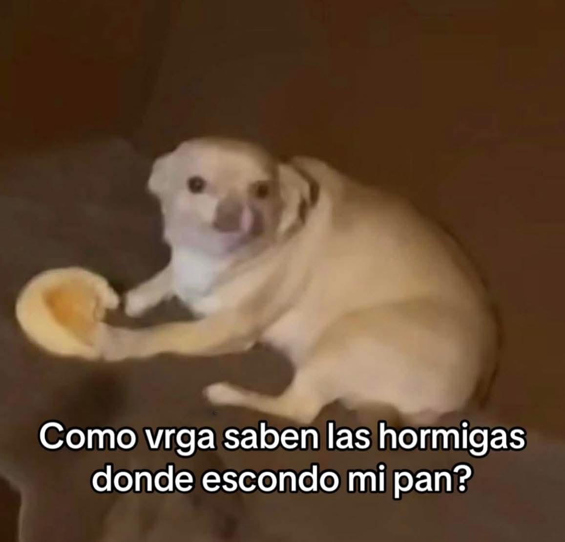 En Júpiter (@en_jupiter_) on Twitter photo 
