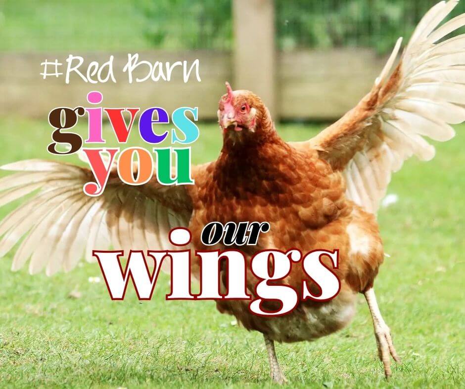 Red Barn News &amp; Special Offers - Red Barn brings you WINGS - mailchi.mp/00297ed3a64d/r…