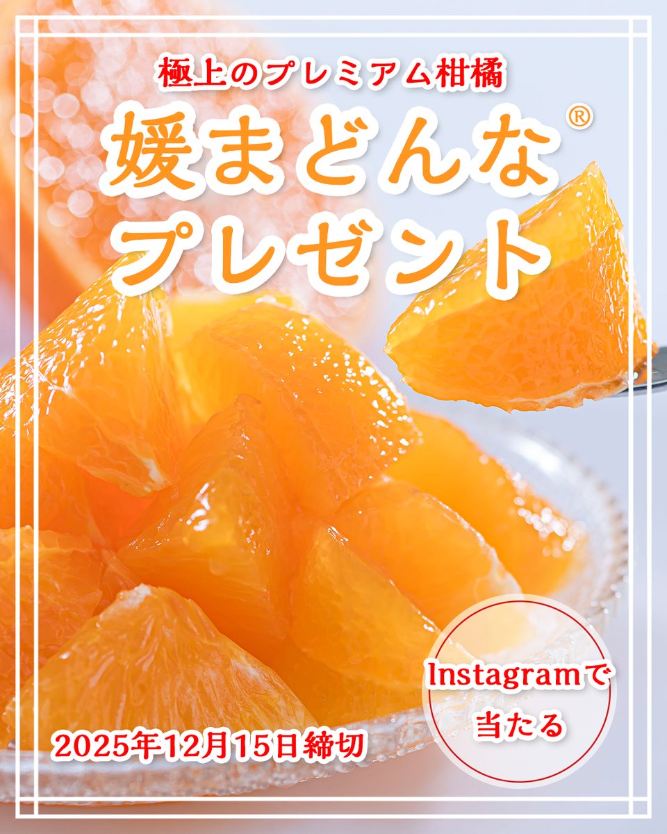 nomakajuen's tweet photo. 媛まどんな2kgを2名様にプレゼント！🍊
を、あちらでも始めました✨

【応募方法】
①ツリーから何スタグラムかに移動して
②フォロー＆いいねだけでOK！
③おまけにこの投稿をリポストでぇぇ！！
④この投稿がリポストされるぅぅぅ！！
⑤ぷるぷるぅぅぅ！！

【締切】
12月15日（月）23:59 https://t.co/WuhbcHHwao