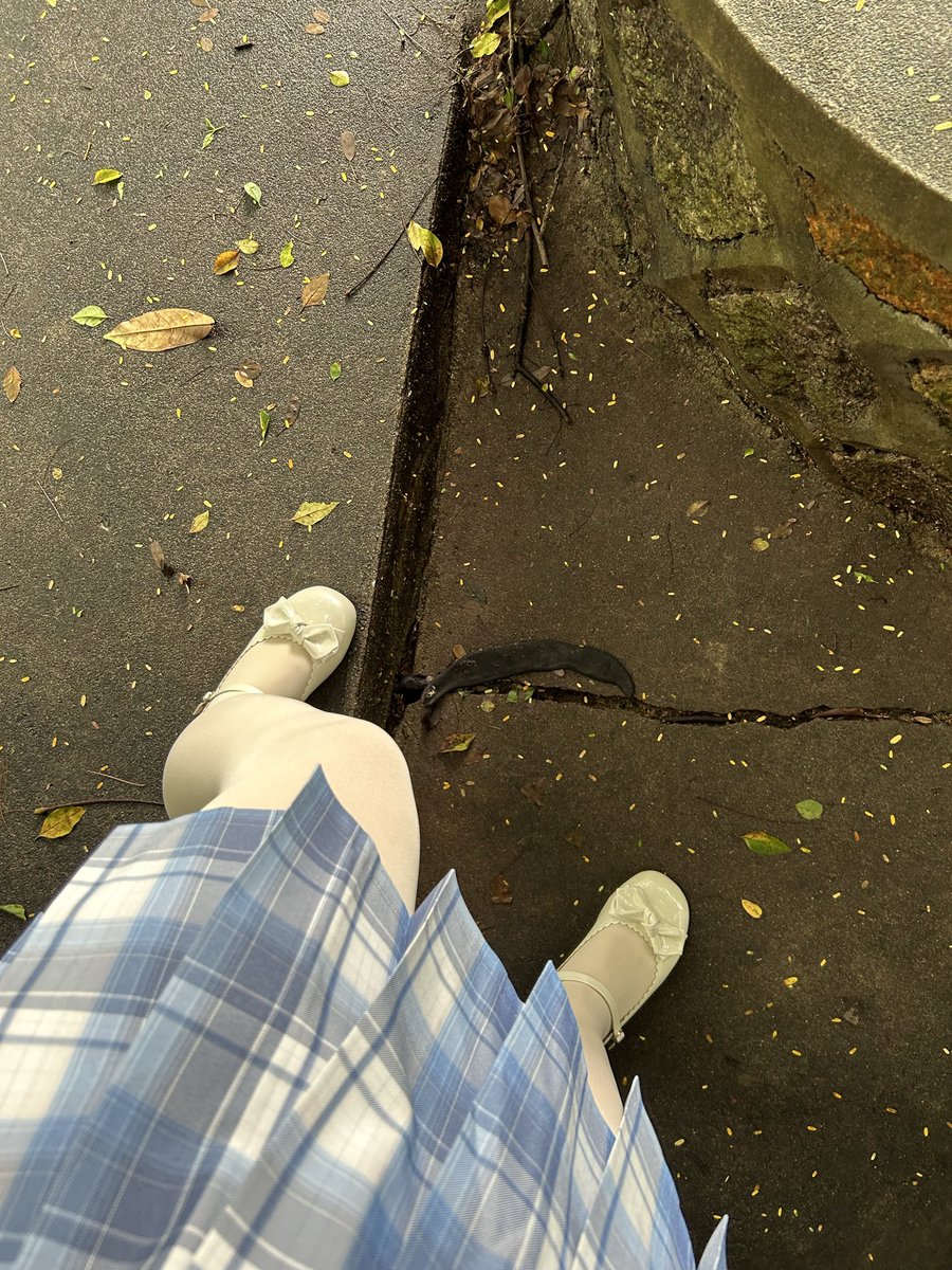 晓伊恩 tweet media