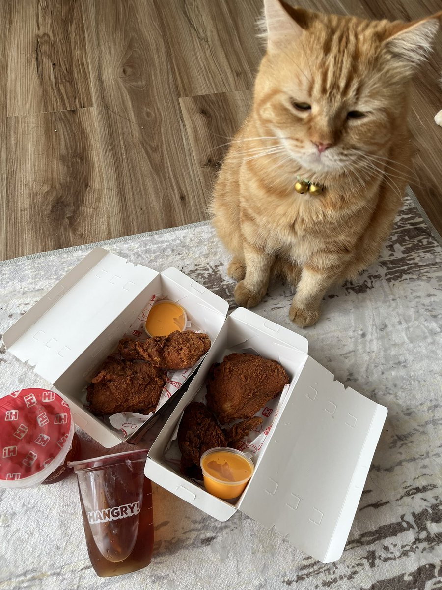 ceritadungimut's tweet photo. Tolong ingfokan ke mimin uno or hangry yang bikin ayam uno yang juicy tapi tetep kressss bener ini, untuk terus jualan dan kirimkan ke si kedung, karena kedung lagi GTM alias GAK TOLAK MAKAN 🤤🤣 https://t.co/t604tburfg