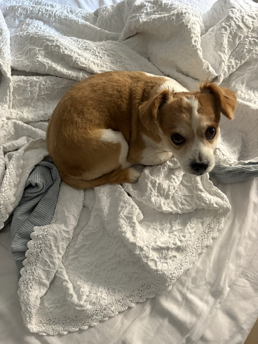 eeecres's tweet image. hola 🙇🏼‍♀️🤏🏼😋⭐️💗