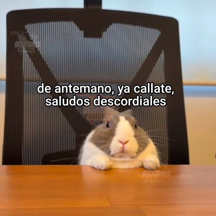 En Júpiter (@en_jupiter_) on Twitter photo 