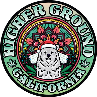 HG_SeedBank's tweet photo. #NewProfilePic Melting through the snow… https://t.co/jkOSCYck7D