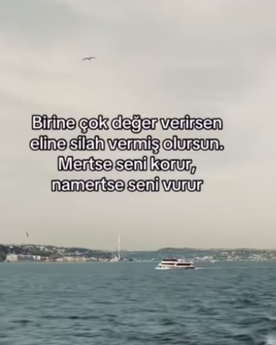 Nüp (@lmazernupelda) on Twitter photo 