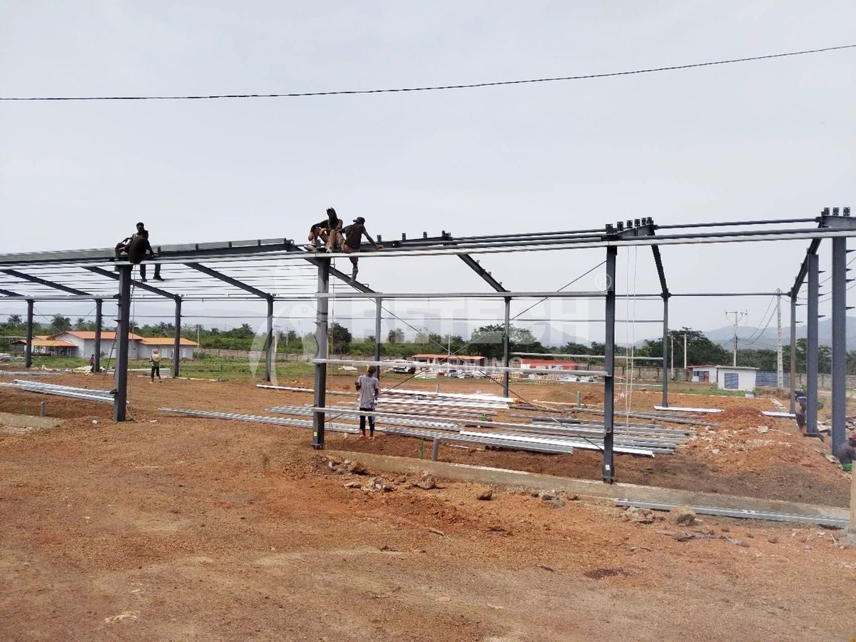retechfarming's tweet image. 🇬🇳 Guinea Project Update!
Our steel-structure layer house for 40,000 layer chickens is now under construction! 🔧🏗️ 

👉 Need a modern poultry house for your farm? Contact us anytime!
📲 +86 185 6181 8850
📧 admin@retechfarming.com

🌐 retechfarming.com

#RetechFarming