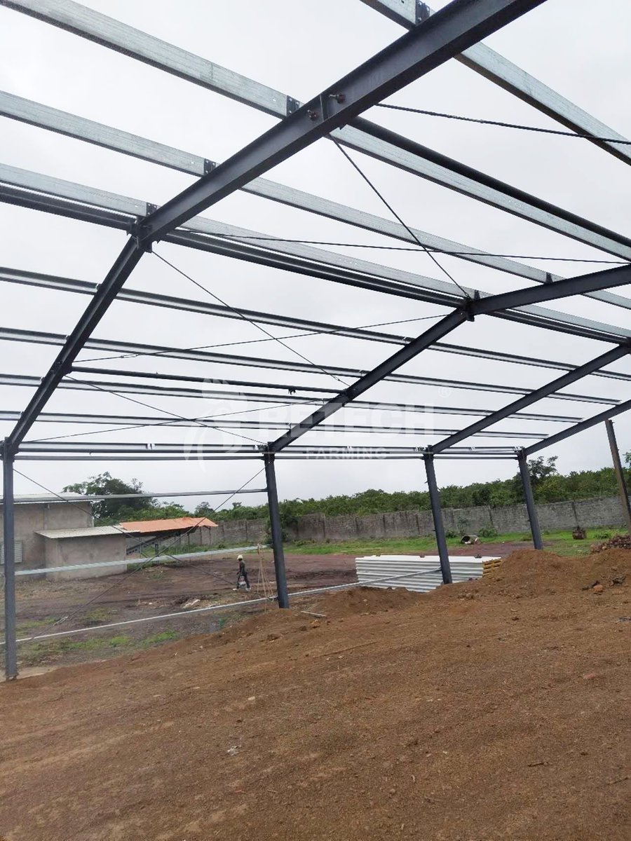 retechfarming's tweet image. 🇬🇳 Guinea Project Update!
Our steel-structure layer house for 40,000 layer chickens is now under construction! 🔧🏗️ 

👉 Need a modern poultry house for your farm? Contact us anytime!
📲 +86 185 6181 8850
📧 admin@retechfarming.com

🌐 retechfarming.com

#RetechFarming