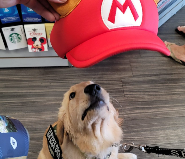 Web3WardenY's tweet photo. This guy actually just traded in his dog at Gamestop...

Bobby was an amazing service dog and his owner betrayed him for a bit of money...

the comments are hating on the owner

We NEED justice for $Bobby

https://t.co/vBipUZNXIv https://t.co/njUQe56U8u