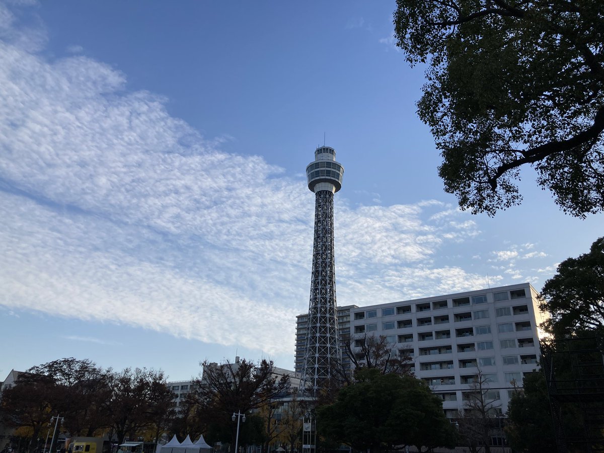 みなこ・フルシアンテ tweet media