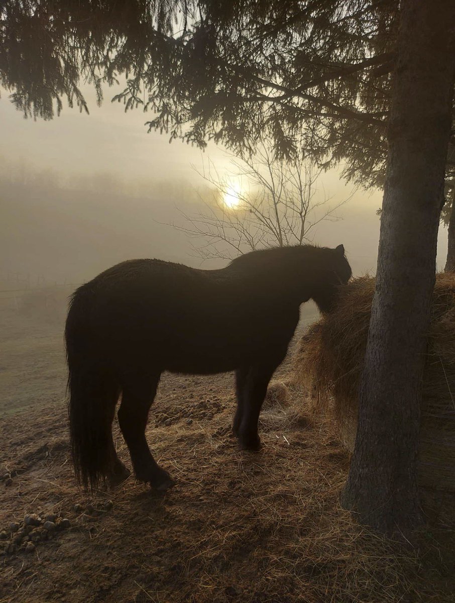 F.Redl 🇦🇹 (@oberstf_redl) on Twitter photo 