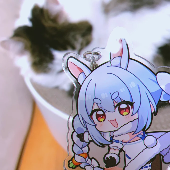 猫ぺこ!!!!!!!!!! ゴンチャぺこ!!!!!!!!!!!!