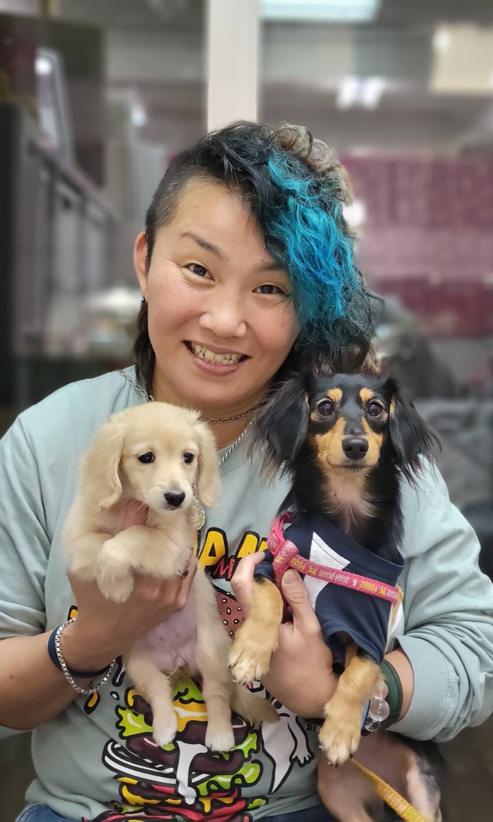 2025/12/6 加藤ジャスミン。うちのコ記念日✨ チャイ。の妹を迎えまし