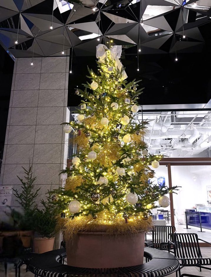 都内の可愛いツリー4選❄️🎀
① ＫＩＴＴＥ丸の内
② 新宿住友ビル 三角広場
③ 表参道ヒルズ
④ 丸の内仲通り MAISON CACAO