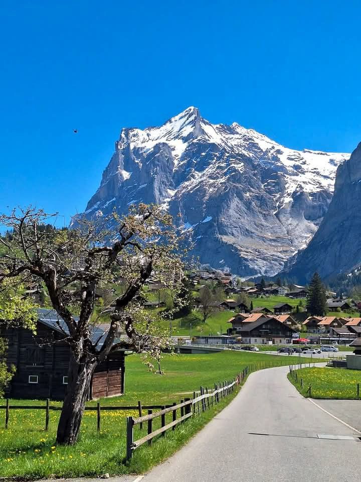 Switzerland 🇨🇭