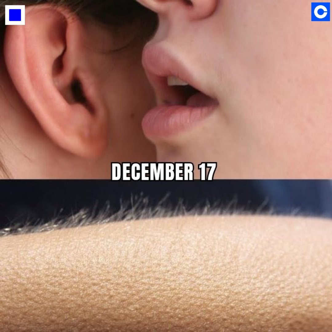 Basegasm or what do they call it? <a href="/jessepollak/">jesse.base.eth</a>