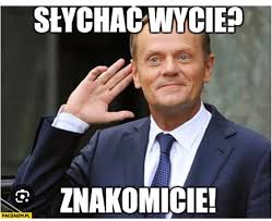 PiSi  szaleją.
 Wpis <a href="/donaldtusk/">Donald Tusk</a>  ma już  ponad 36 milionów odsłon w sieci‼️💪
Chodzi o krótki, ale wyjątkowo celny komunikat skierowany bezpośrednio do opinii publicznej w Stanach Zjednoczonych‼️
Premier napisał:
„Drodzy amerykańscy przyjaciele, Europa jest waszym najbliższym
