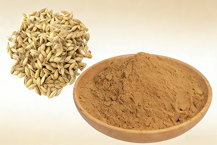 Does your Beer, Whisky need its own malt? If your breweries, distilleries, or food companies need your own malt. You can contact promalting for an compact and high automatic malting system. With the high automatic malting equipment, you can produce the most consistent malt.