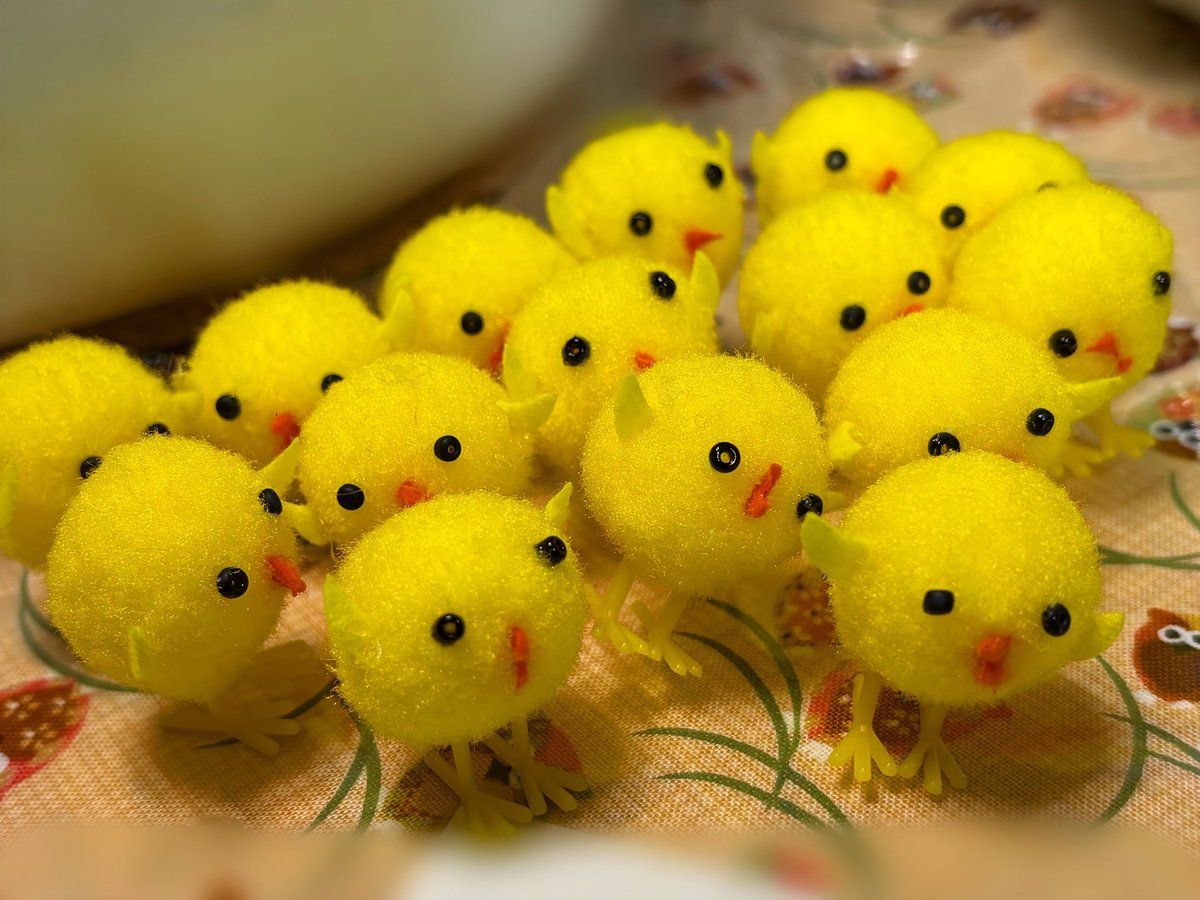 ひよこちゃん予約入りました😭😭😭✨✨✨✨✨✨✨ 目標まであと9名様