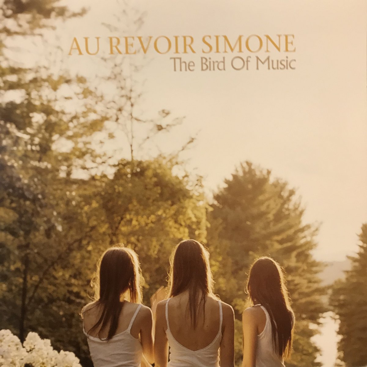 新宿】12/6 (土) INDIE/ALTERNATIVE ROCK SALE レコメンドアイテム