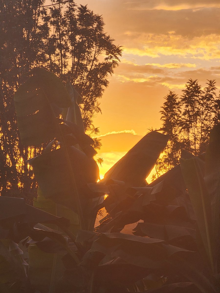 Miss Mwangi 🩵 tweet media