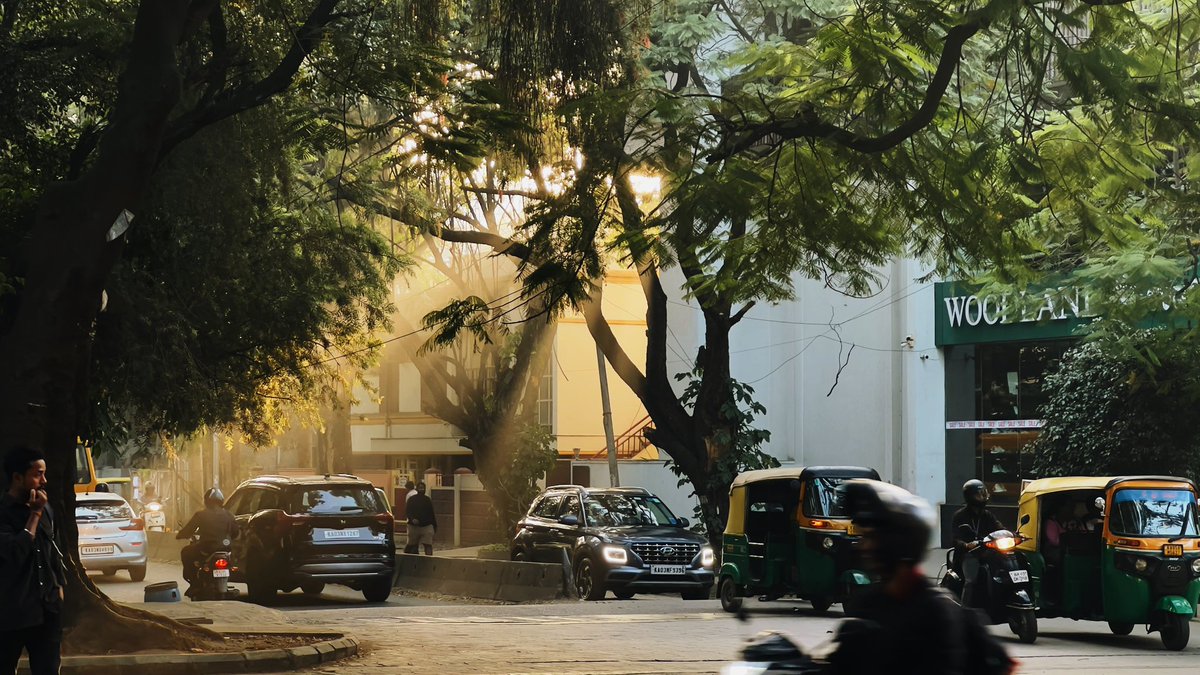 atulpinheiro's tweet image. Bangalore weather quite perfect so far today 🥲 

Saw the most stunning morning light on my walk.