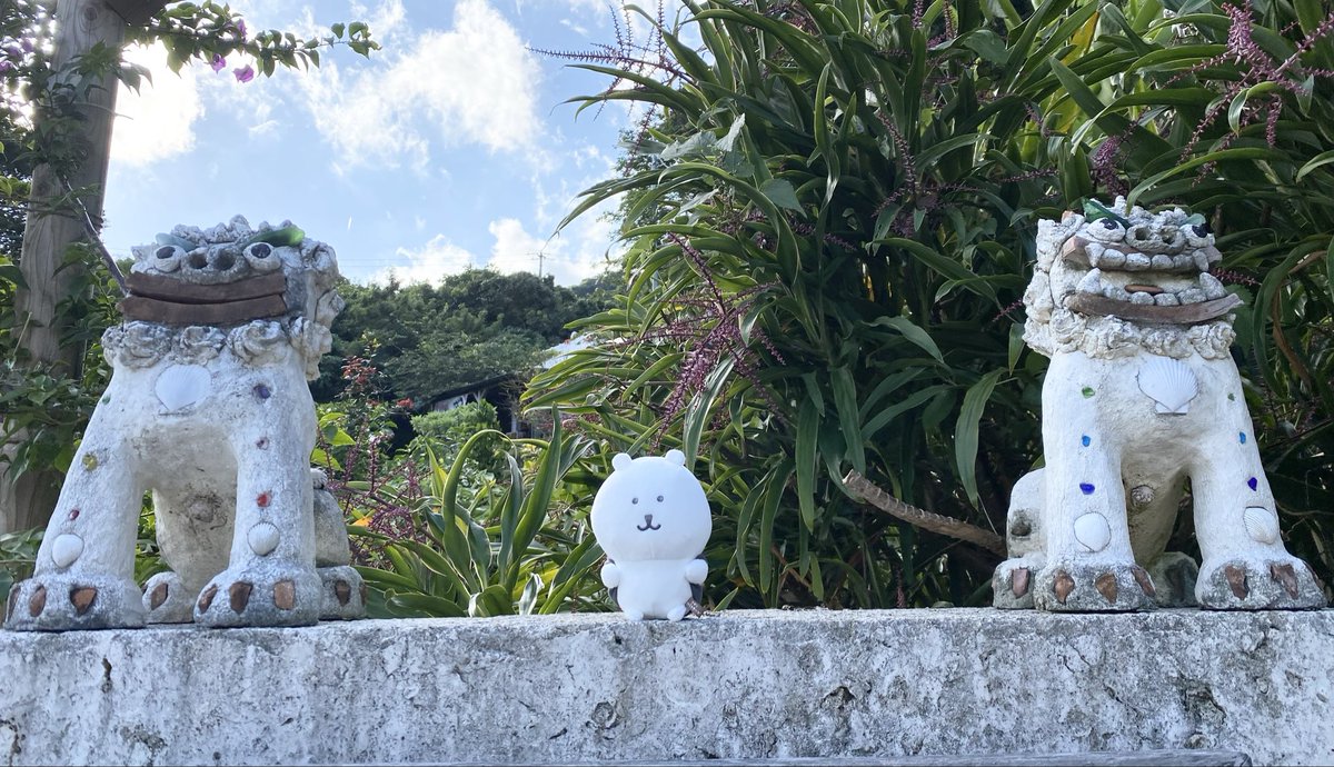 🟠🐺はっせー🟠🐺 (@t2believer_mwam) / Posts / X