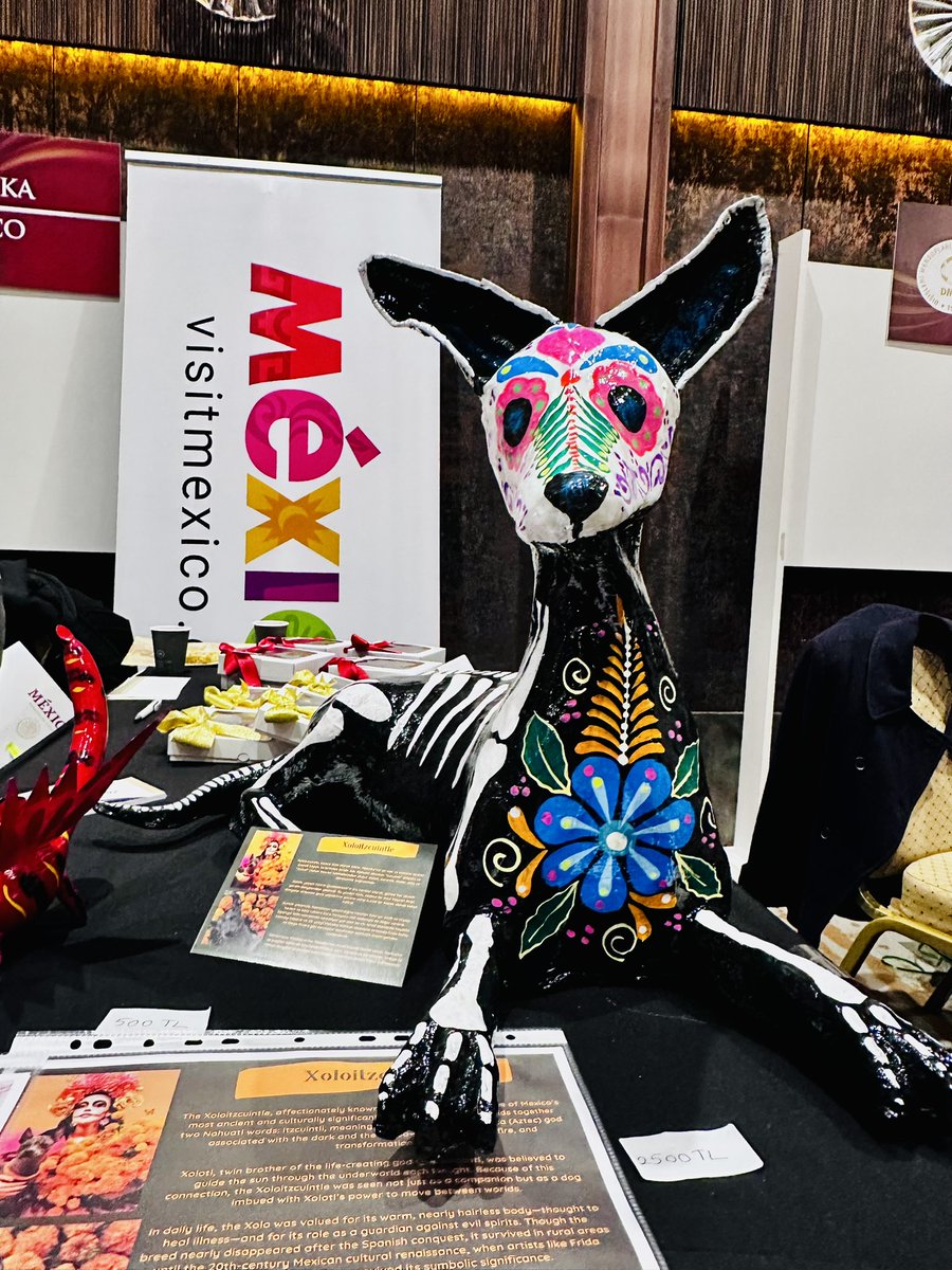 EmbaMexTur's tweet image. El 7 de diciembre el Emb. @CGjdl y el equipo de la embajada participaron en el bazar de beneficencia organizado por @dmedd_info. Los asistentes pudieron adquirir bellas artesanías mexicanas y deliciosas galletas decoradas. Gracias a quienes visitaron el stand mexicano.